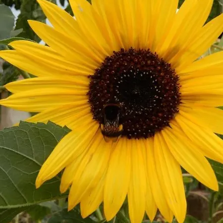 Laendliches Wohnen Zwischen Und Gotha Lägenhet Erfurt
