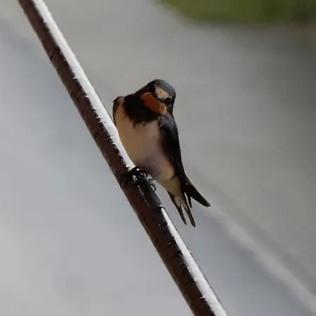 Διαμέρισμα Laendliches Wohnen Zwischen Und Gotha Ερφούρτη