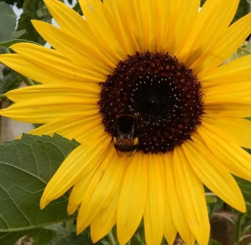 Laendliches Wohnen Zwischen Und Gotha Apartamento Erfurt