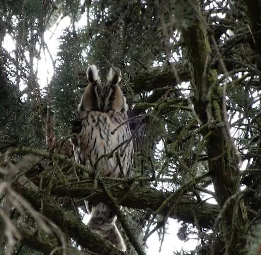 Laendliches Wohnen Zwischen Und Gotha Daire *