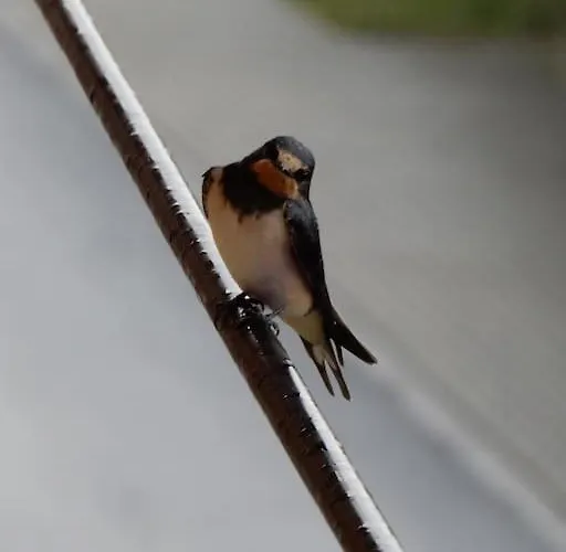 Apartamento Laendliches Wohnen Zwischen Und Gotha Erfurt
