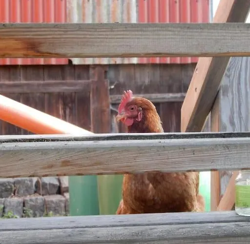 Apartamento Laendliches Wohnen Zwischen Und Gotha *